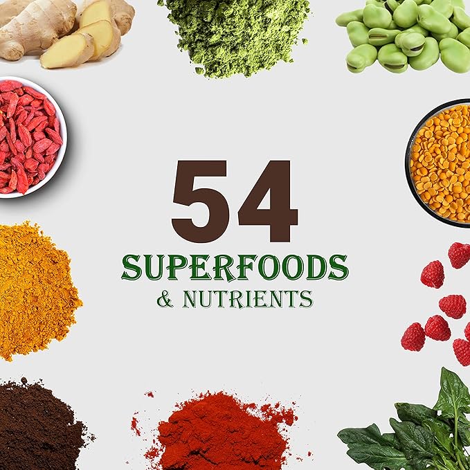 UpNourish Chocolate Vegan Protein Powder 54 Superfoods Powder,1.5 Billion CFU Probiotics 21g Plant Based Protein,No Sugar No Dairy No GMO Dairy Free,Meal Replacement Shake Keto-Friendly Low-Carb Diet,15 Servings
