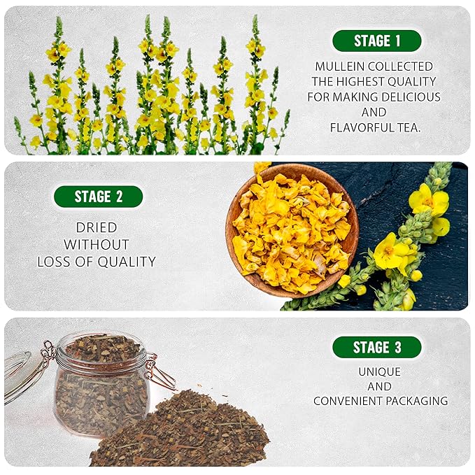 TeaDreamTea Dried Mullein Herbal Tea - Natural Mullein Flowers 5 fl.OZ Loose Tea - Caffeine-free - Pure Natural Premium Mullein Leaf - Mullein Herbal Teas with Cleanse Detox & Respiratory Support Effect