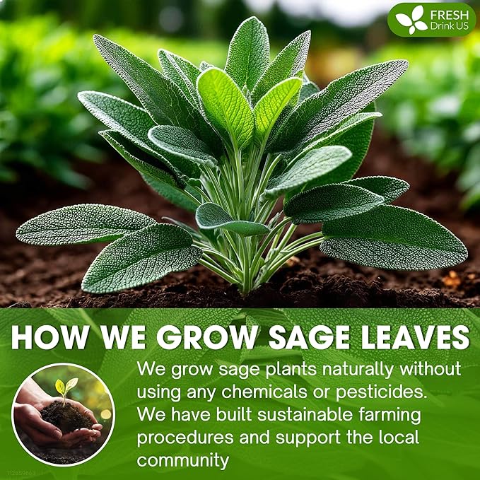 FreshDrinkUS, Sage Leaf Powder 8oz – Premium Culinary Herb, Pure Ground Sage Leaves for Cooking, Baking & Herbal Infusions – Resealable Pouch
