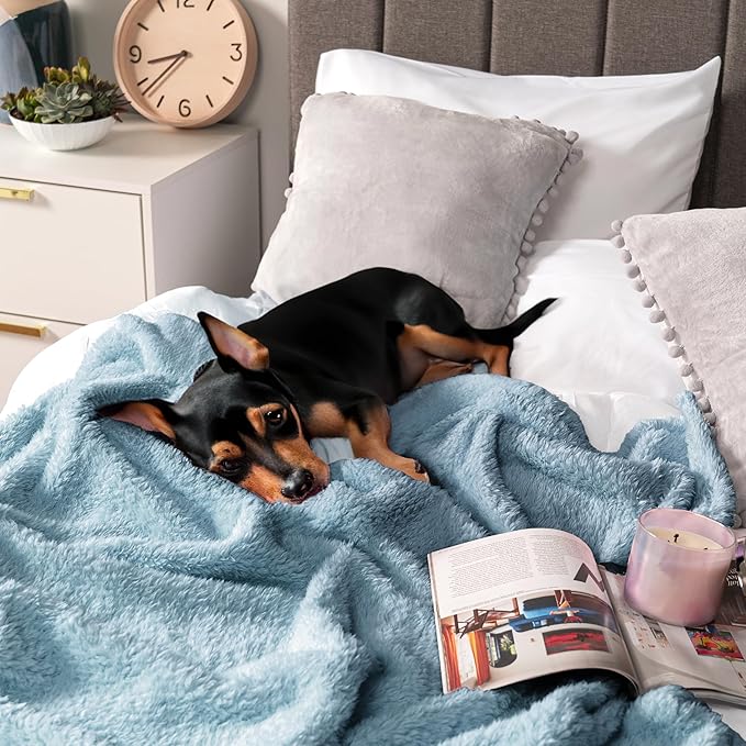PAVILIA Sherpa Throw Blanket for Couch Sofa, Dusty Slate Blue Fluffy Warm Plush Blanket for Twin Bed, Cozy Super Soft Lightweight Throw, Fuzzy Decorative Blanket, All Season Home, 60x80