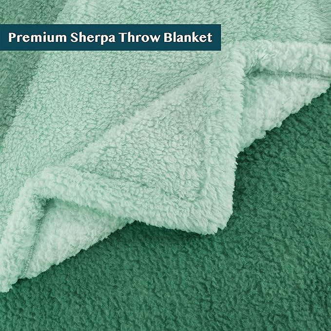PAVILIA Fluffy Sherpa Throw Blanket Ombre | Gradient Plush, Soft, Fuzzy, Decorative Accent Throw Blanket for Couch Sofa Twin Bed | Cozy Warm Decorative Furry Faux Fur Blanket, 60x80 Inches Green