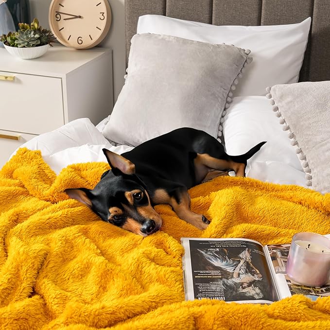 PAVILIA Sherpa Throw Blanket for Couch Sofa, Mustard Yellow Fluffy Warm Plush Blanket for Bed, Cozy Super Soft Lightweight Throw, Fuzzy Decorative Blanket, All Season Home, 50x60